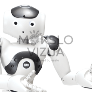 Robotas NAO6
