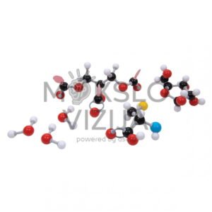 Organinių molekulių modeliai