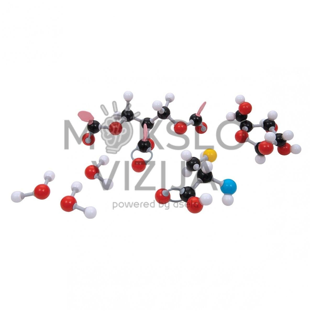 Organinių molekulių modeliai