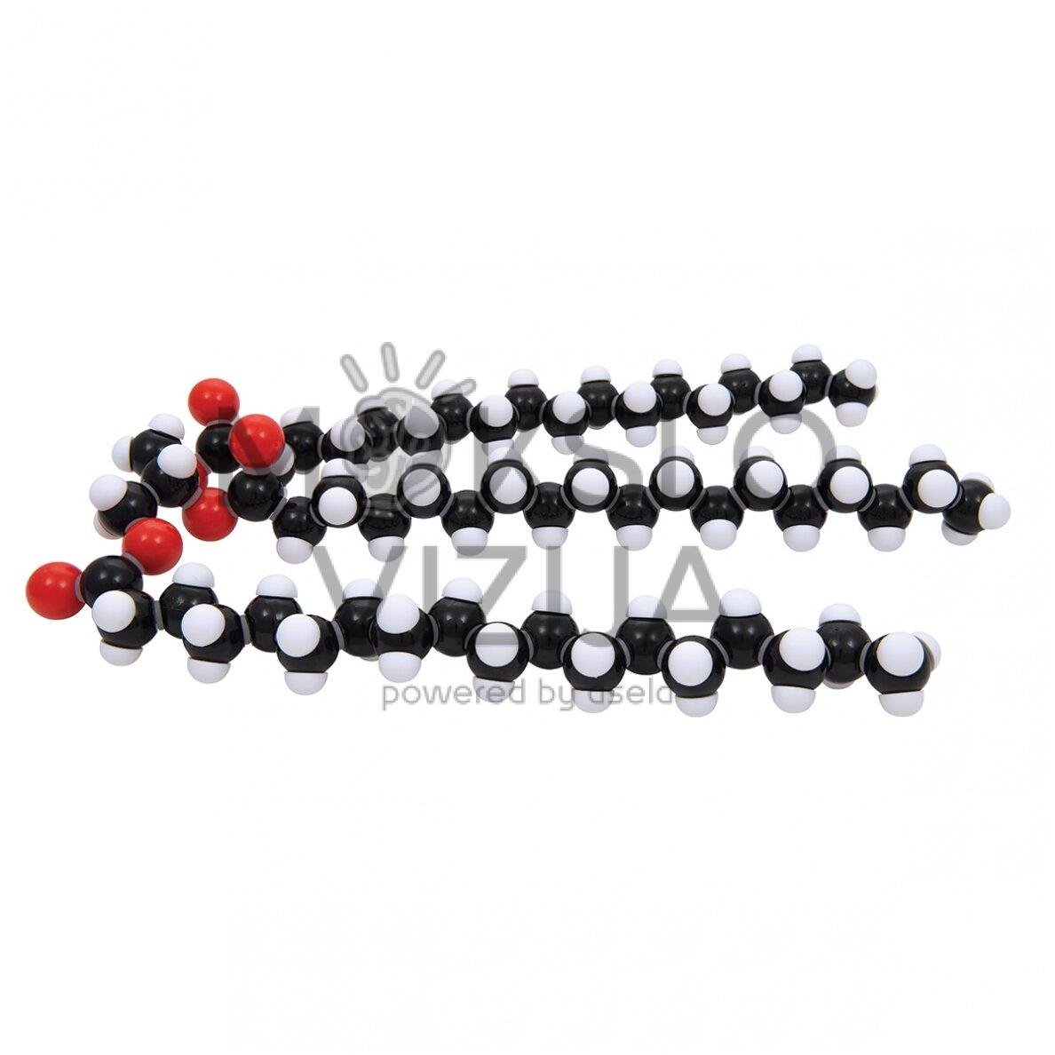 Riebalų molekulinė struktūra