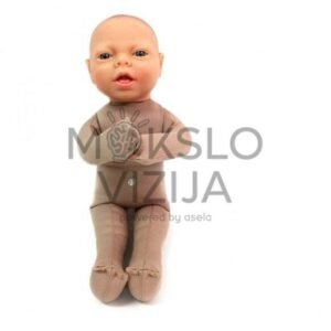 Vaisiaus modelis