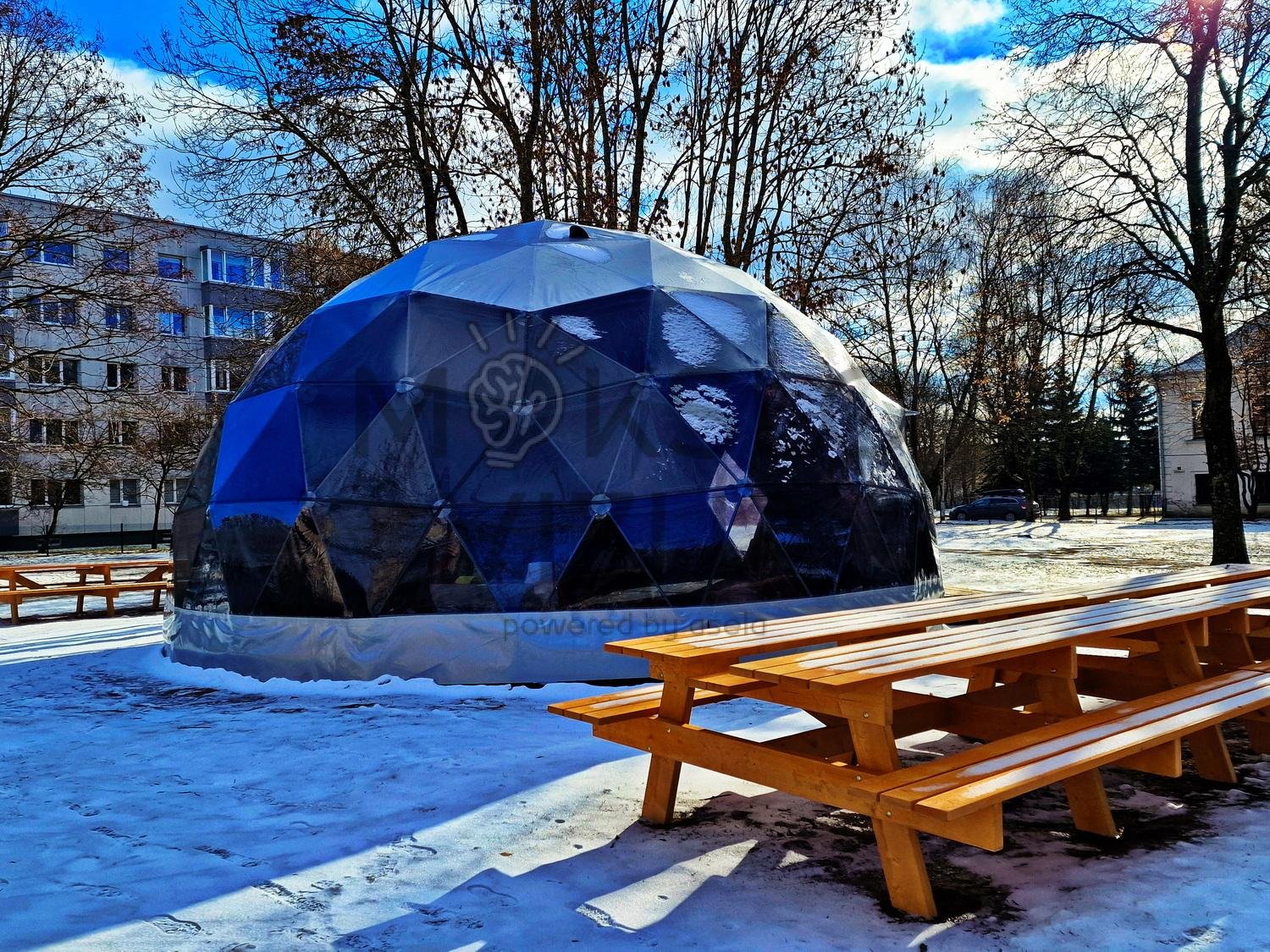 Lauko klasė 3 skirtingi dydžiai - Image 11