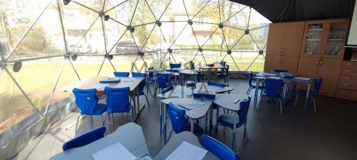 Lauko klasė 3 skirtingi dydžiai - Image 7