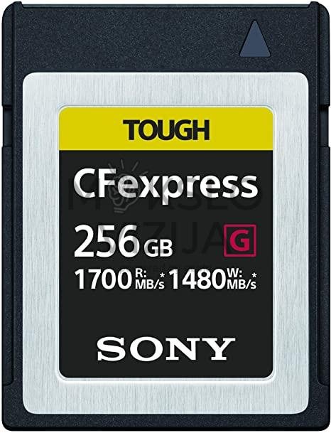 Foto studija/klasė (1) - Image 17