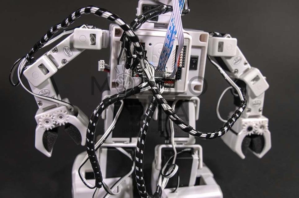 Robotas Humanoidas - Image 3