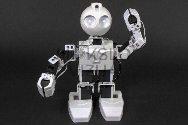 Robotas Humanoidas