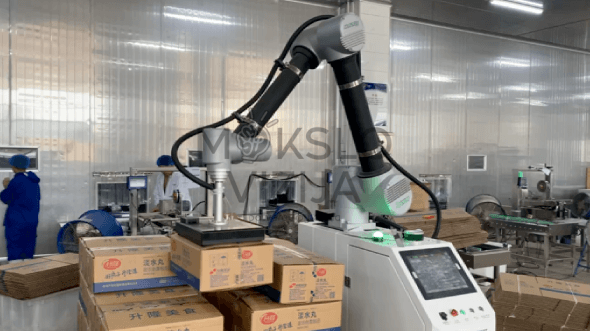 Robotizuotas 30 kg padėklų klotuvas - Image 3