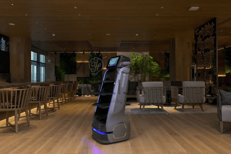 Maisto pristatymo robotas - Image 2