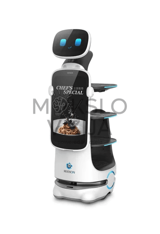 Maisto pristatymo robotas