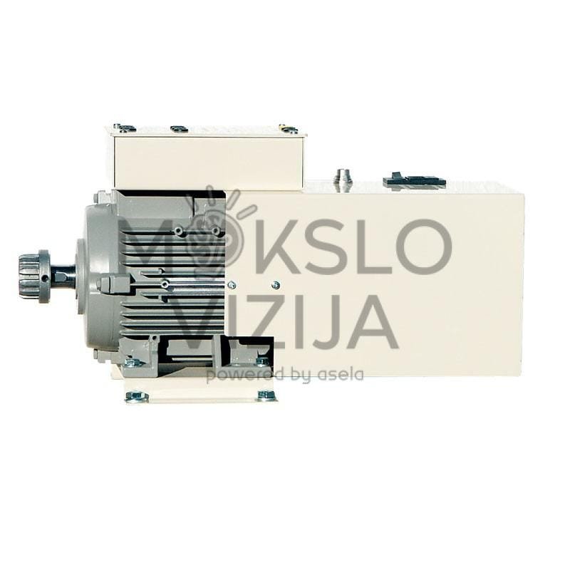 Trifazis asinchroninis variklis su trumpintomis apvijomis ir vektoriniu valdymu (1500 W, 230/400 V)