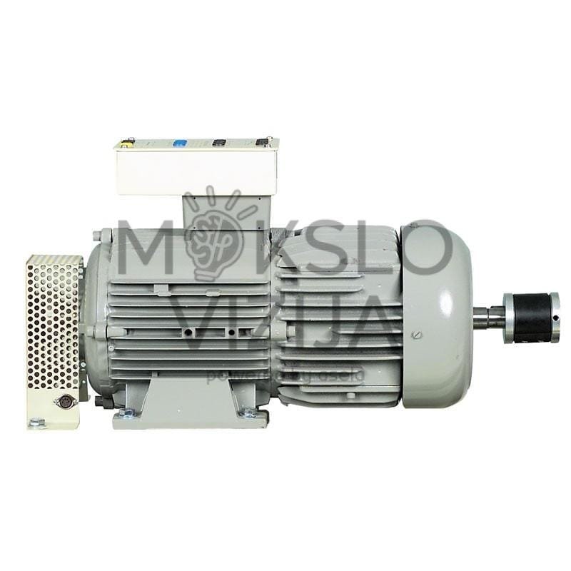 Trifazis asinchroninis variklis su žiediniu rotatoriumi (3 kW, 230/400 V)