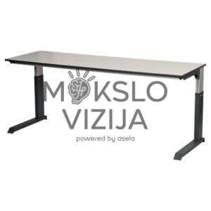 Stalas, galima dirbti atsisėdus ar atsistojos