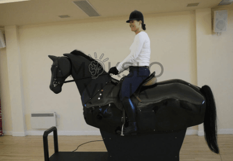 Jojimo simuliatorius