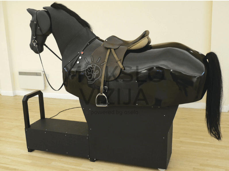 Jojimo simuliatorius - Image 2