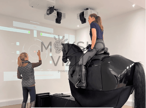 Profesionalus jojimo simuliatorius mokymui