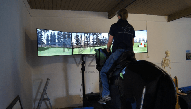 Trikovės jojimo treniruoklis - Image 3