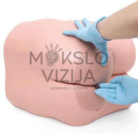 Profesionali simuliacinė kolekcija – pilvo ertmės modelis su klizmos antgaliu ir aiškiai matoma žarnyno sistema.