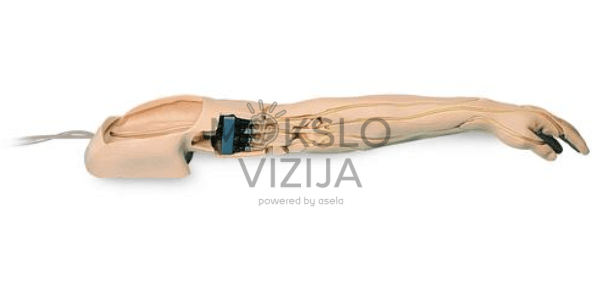 Išplėstinis medicininis rankos modelis, imituojantis žmogaus venas ir odą, naudojamas mokymų laboratorijoje.