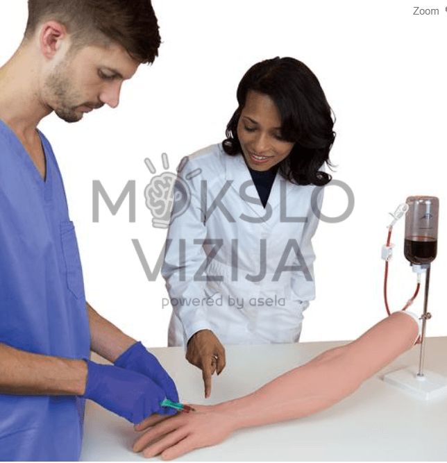 Profesionalus viršutinės rankos modelis intramuskulinei injekcijai mokyti