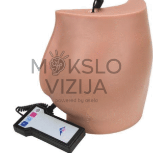 Mokomasis sėdmenų modelis veninei ir intraveninei praktikai
