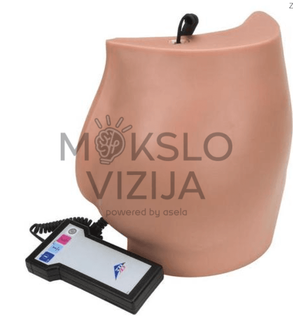 Mokomasis sėdmenų modelis veninei ir intraveninei praktikai