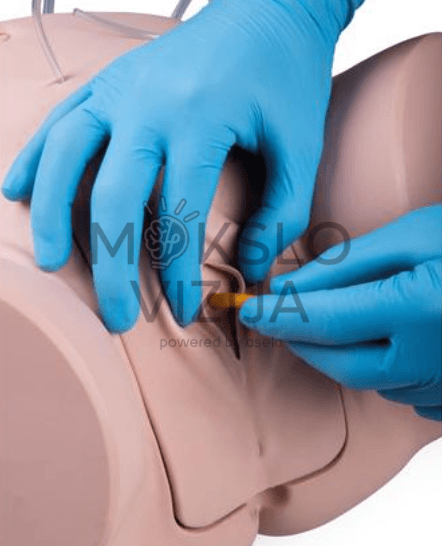 Kateterizavimo simuliatorius vyro ir moters anatomijomis