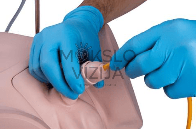 Realistiškas kateterizacijos manekenas mokymui