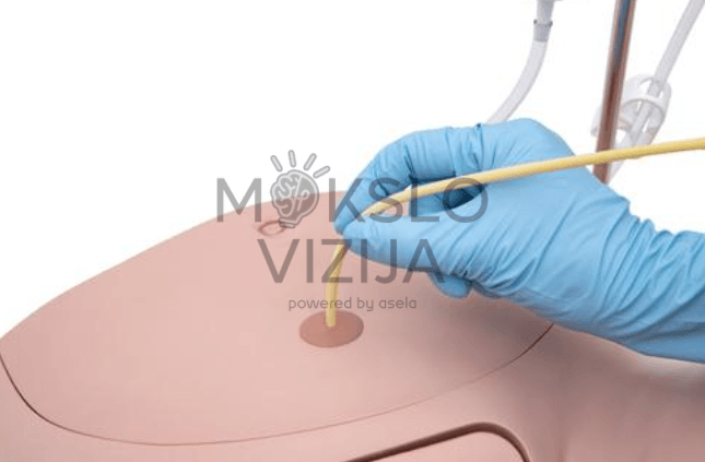 Kateterizavimo mokymo priemonė šlaplės ir pūslės įgūdžiams