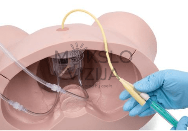 Anatomijos modelis kateterio įdėjimo praktikai
