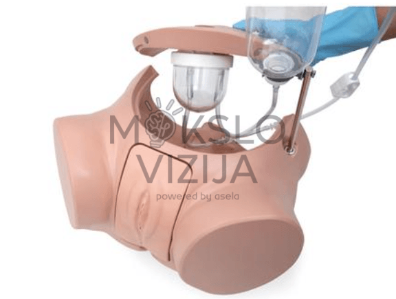 Kateterizavimo treniruoklis medicinos studentų praktikai