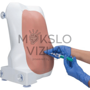 Epidurinės ir stuburo injekcijų treniruoklio oda ir anatomija