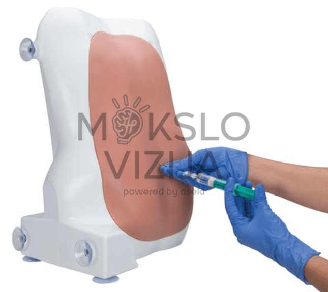 Epidurinės ir stuburo injekcijų treniruoklio oda ir anatomija