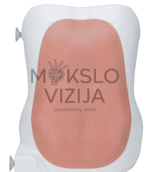 Stuburo imitacija su nuimamu odos sluoksniu medicinos mokymui