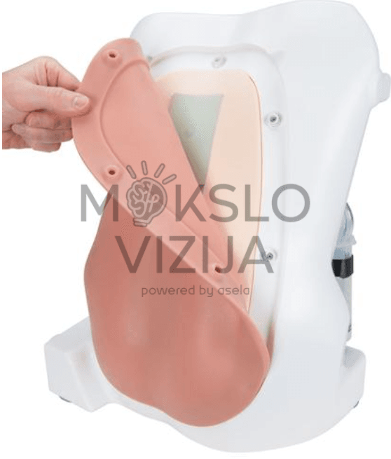 Realistiška odos plėvelė stuburo traumpunktūrai simuliuojančiame treniruoklyje