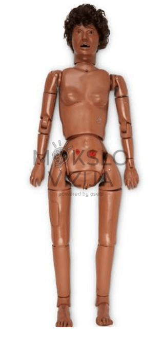 Auskultacijos mokymo priemonė klinikinių įgūdžių lavinimui