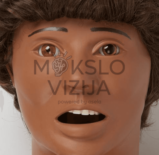 Auskultacijos manekenas 24 širdies ir plaučių garsai