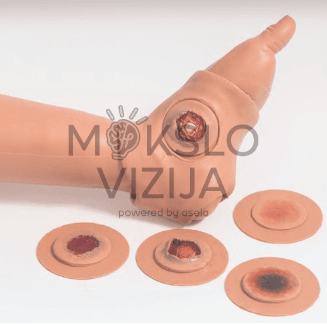 Paauglių ir jaunų suaugusiųjų pažangus manekenas mokymui