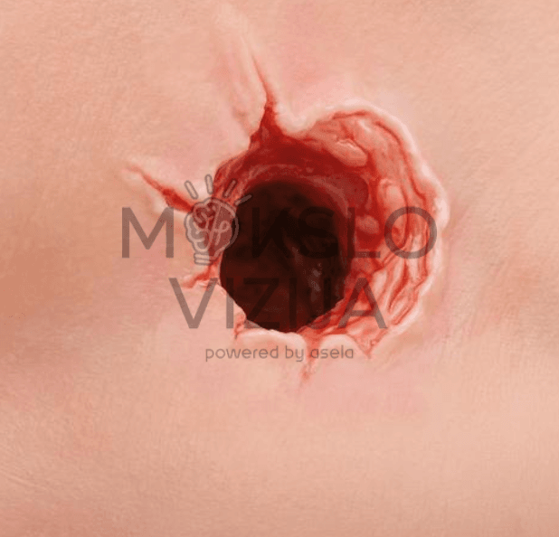 Rankos kraujavimo simuliatorius - Image 6