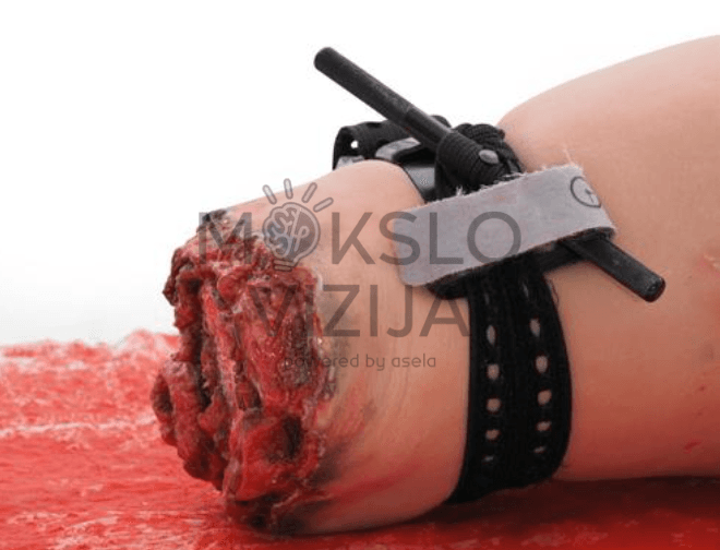 Kojos kraujavimo simuliatorius - Image 3