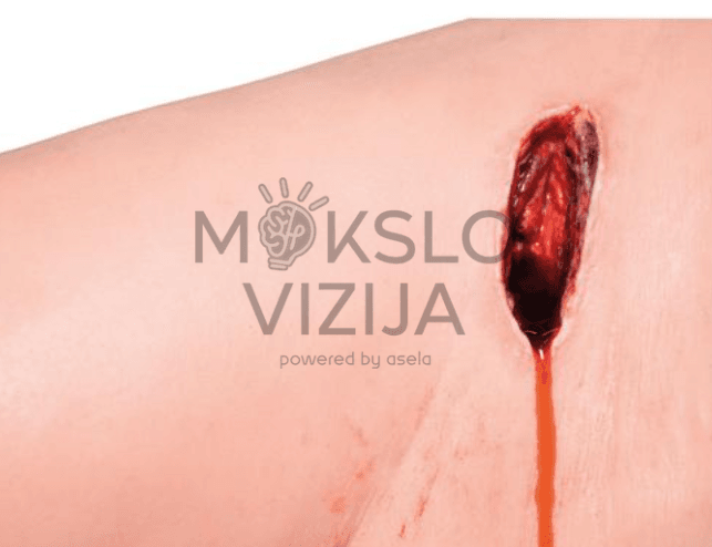 Kojos kraujavimo simuliatorius - Image 5