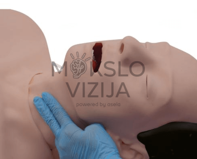 Žmogaus simuliatorius - Image 3