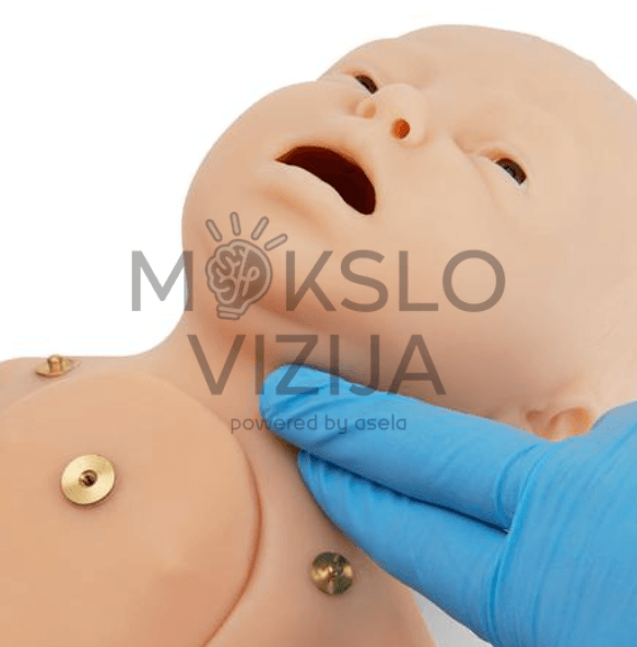 Naujagimių gaivinimo simuliatorius - Image 3