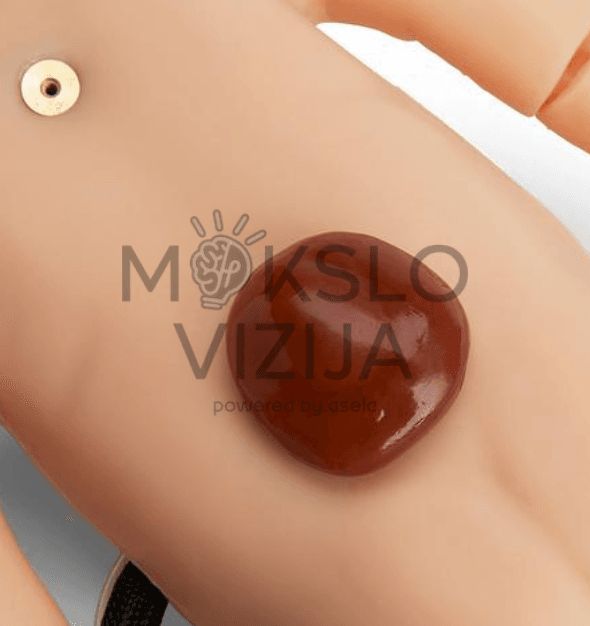 Naujagimių gaivinimo simuliatorius - Image 4