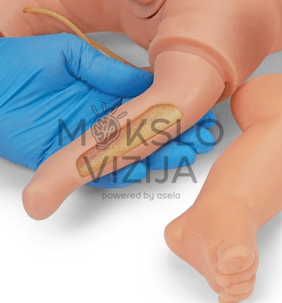 Naujagimių gaivinimo simuliatorius - Image 6