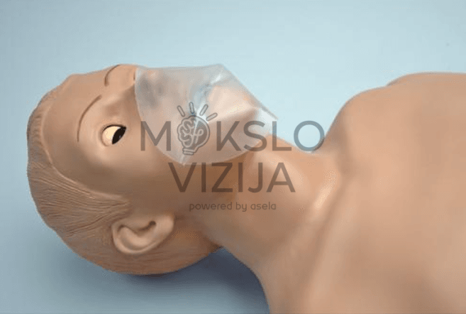 Realistiškas manekenas klinikinių įgūdžių lavinimui