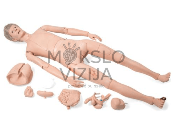 Viso kūno paciento simuliatorius klinikinių įgūdžių lavinimui