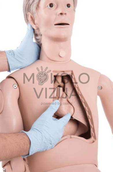 Pagyvenusio paciento simuliatorius su atveriamu krūtinės ląstos modeliu