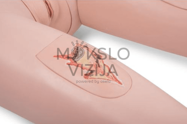 Pagyvenusio paciento simuliatorius su šlaunies žaizdos imitacija