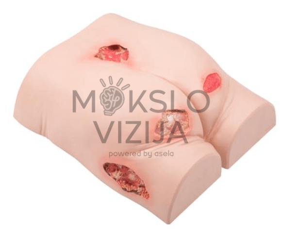 Paciento simuliatorius su dekubito žaizdų imitacija klinikinių įgūdžių lavinimui