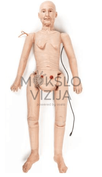 Pagyvenusio paciento simuliatorius slaugos procedūrų mokymams